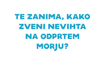 Prebral sem že veliko knjig